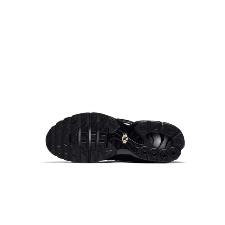 Air Max Plus Preto